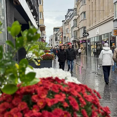Apartment De Strandmelde, Met Groot Terras En Gratis Parking Nabij Zee