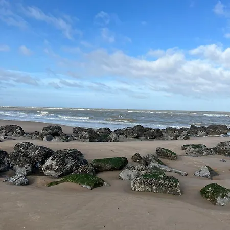 De Strandmelde, Met Groot Terras En Gratis Parking Nabij Zee أوستيند