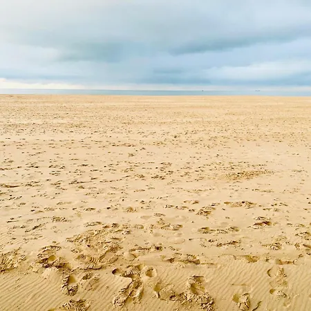 De Strandmelde, Met Groot Terras En Gratis Parking Nabij Zee Apartment